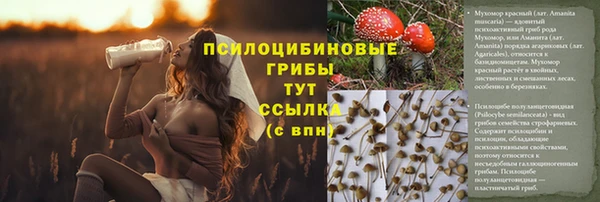 спиды Куйбышев