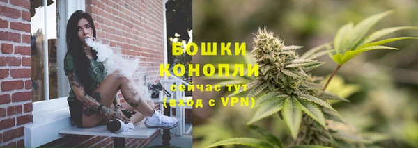 гидропоника Лагань