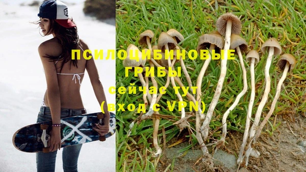гидропоника Лагань