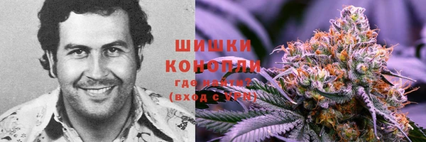 спайс Лабытнанги