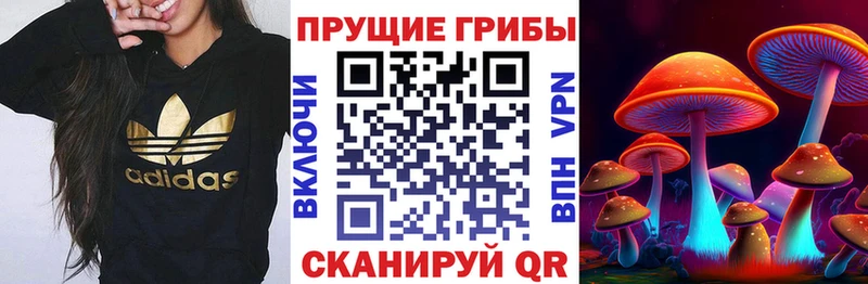 Купить где  Белогорск  Псилоцибиновые грибы MAGIC MUSHROOMS 